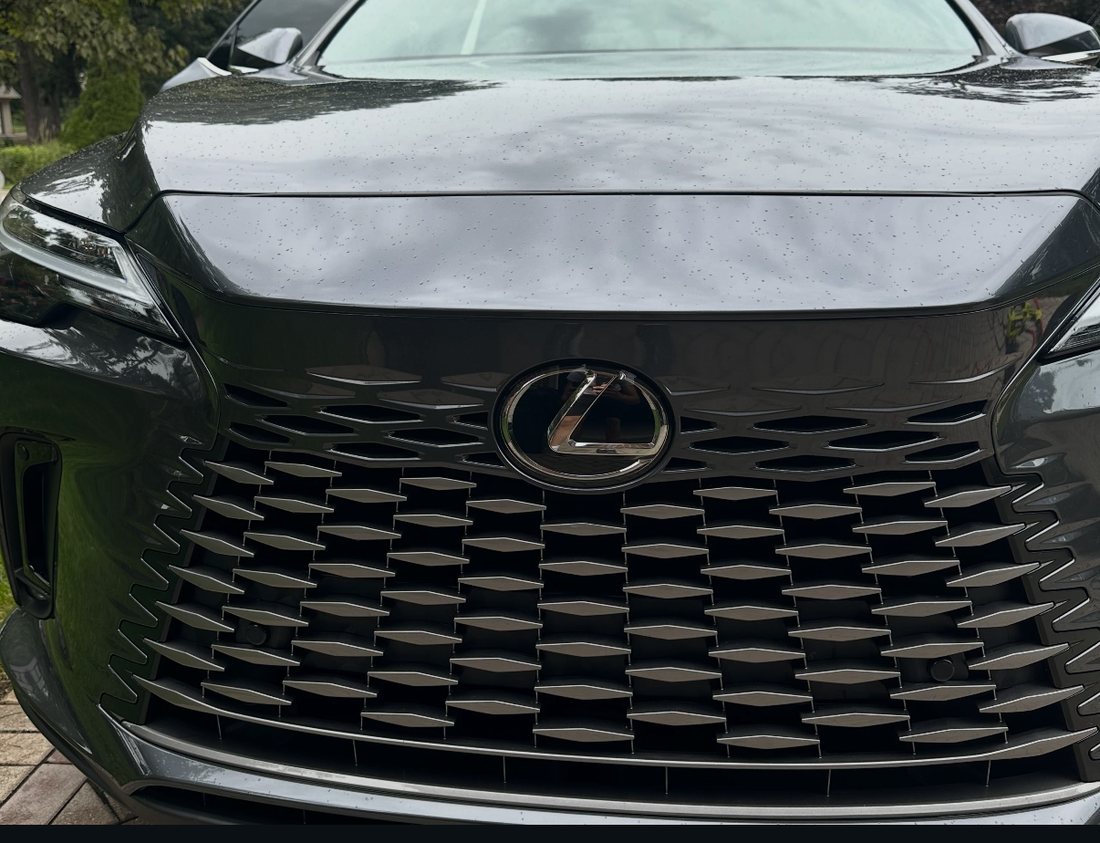 Freshly detailed Lexus front grille with deep gloss