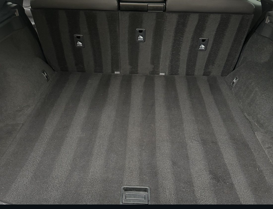 Cargo area carpet after deep extraction, vacuum lines visible